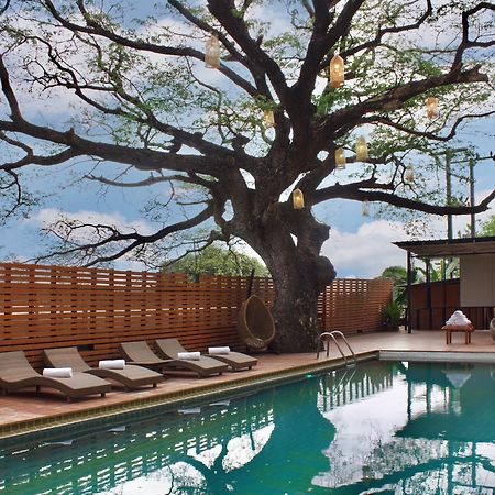 Bamboori Boutique Resort チエンマイ エクステリア 写真