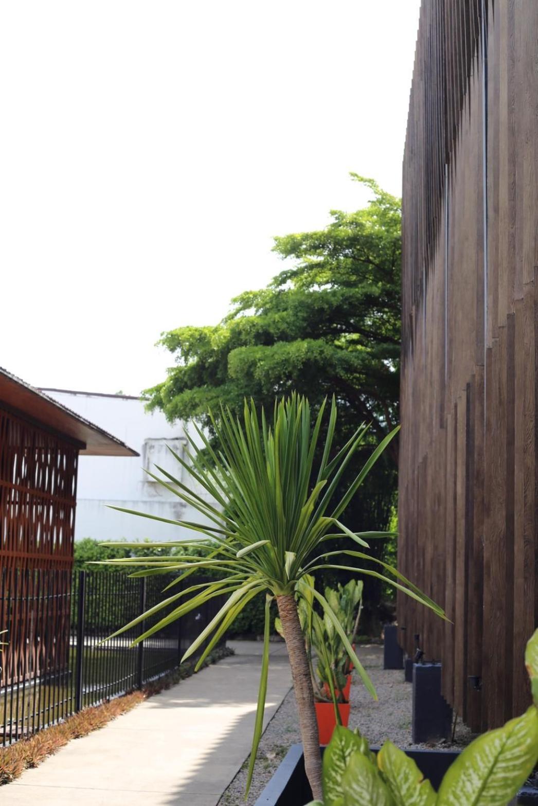 Bamboori Boutique Resort チエンマイ エクステリア 写真